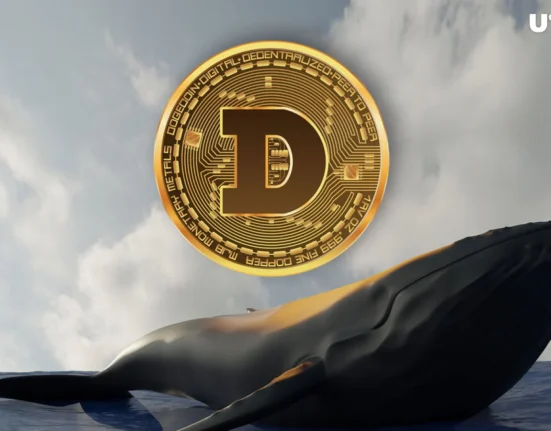 Dogecoin Whale with $100M Portfolio Compares $0.04 Altcoin to Early DOGE—Is Now the Time to Invest?