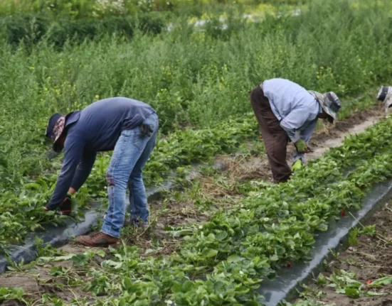 Migrant Workers in Canada Face Abuse Under Temporary Foreign Worker Program – Amnesty Report