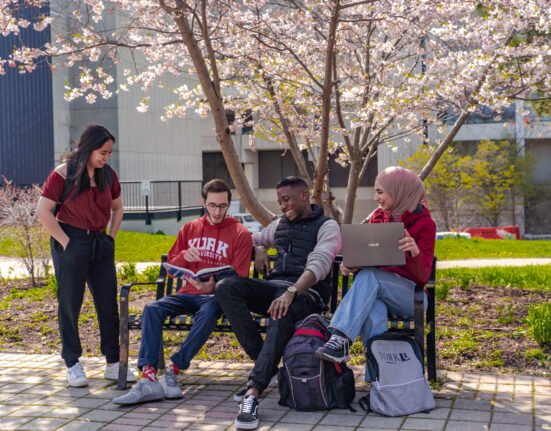 York University Entrance Undergraduate Scholarship 2025 – Apply Now