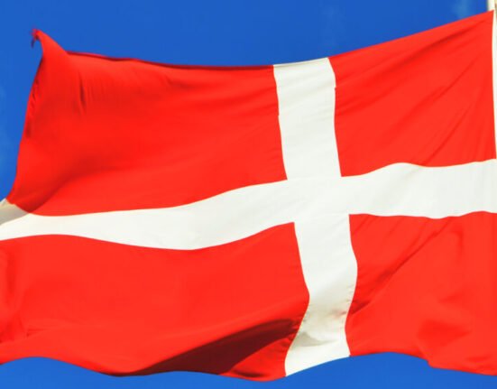 Denmark Sets New Wage Standards for Skilled Worker Permits Starting February 2025
